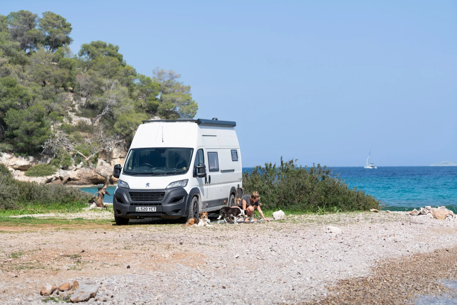 Our van parked by the sea with the dogs